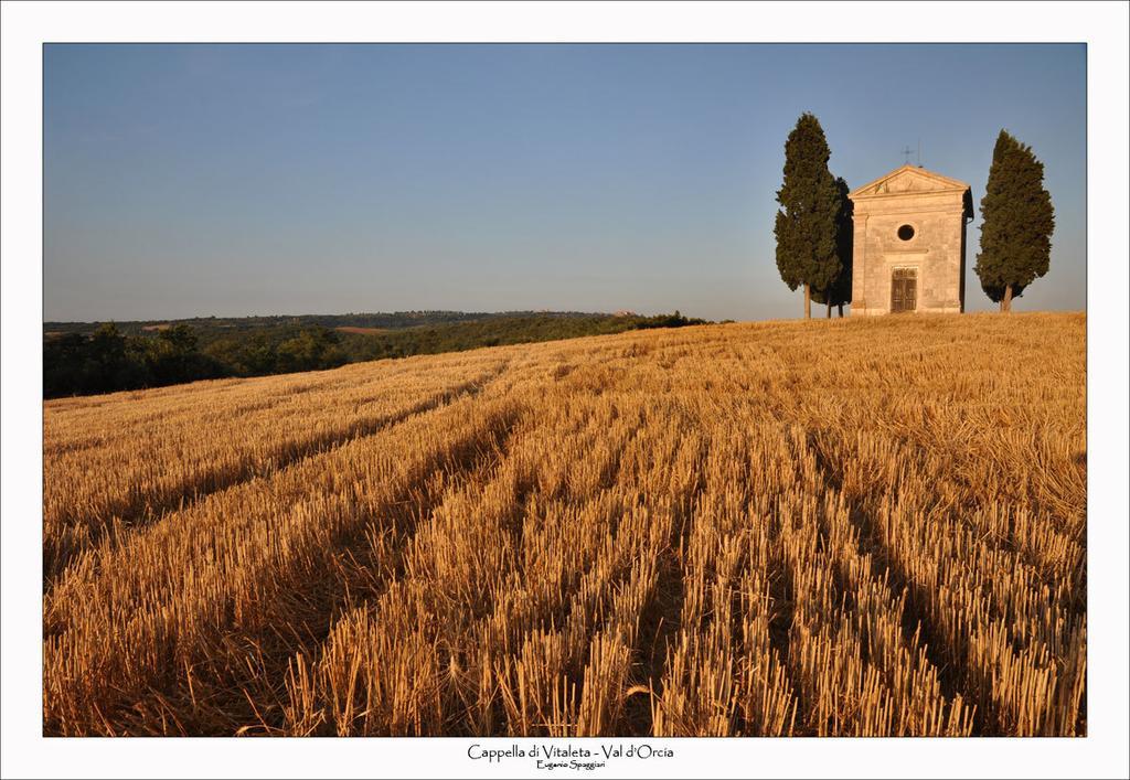 Casetta Del Pozzo Seggiano Habitación foto
